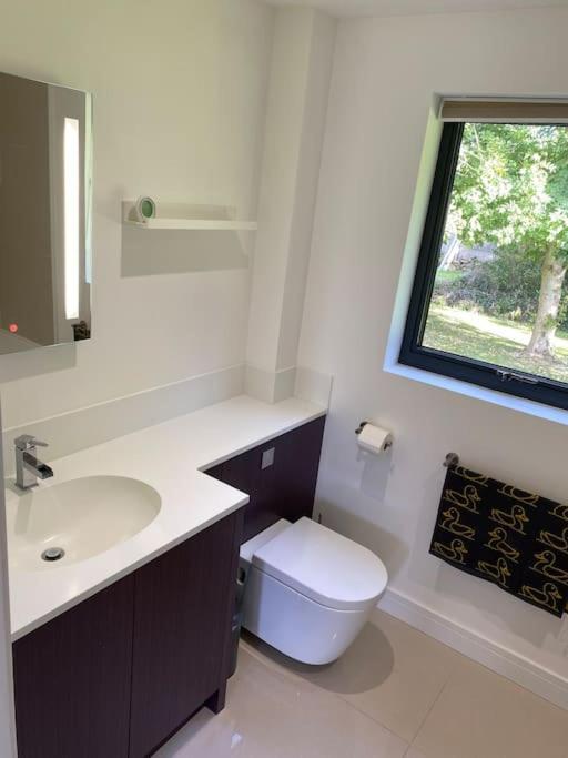 Cedar Garden Cottage East Chinnock Dış mekan fotoğraf